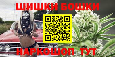 МДПВ Лесосибирск