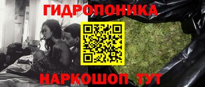 МДПВ Лесосибирск