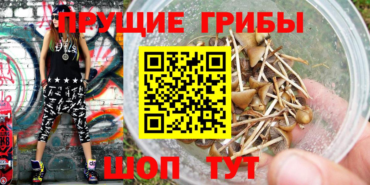 Арсеньев  Галлюциногенные грибы мухоморы  Вход с VPN  Псилоцибиновые грибы Psilocybe 